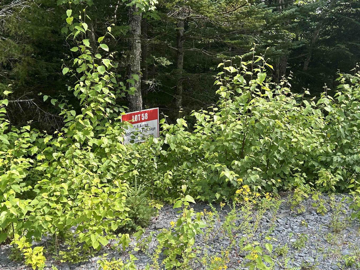 Lot 58 Riverside Drive, Goldenville, NS