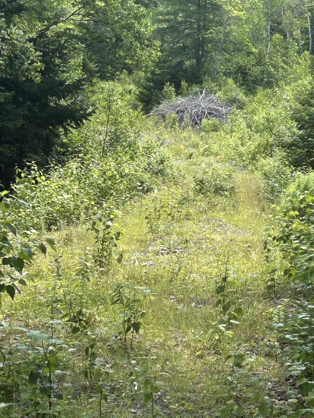 Lot 58 Riverside Drive, Goldenville, NS