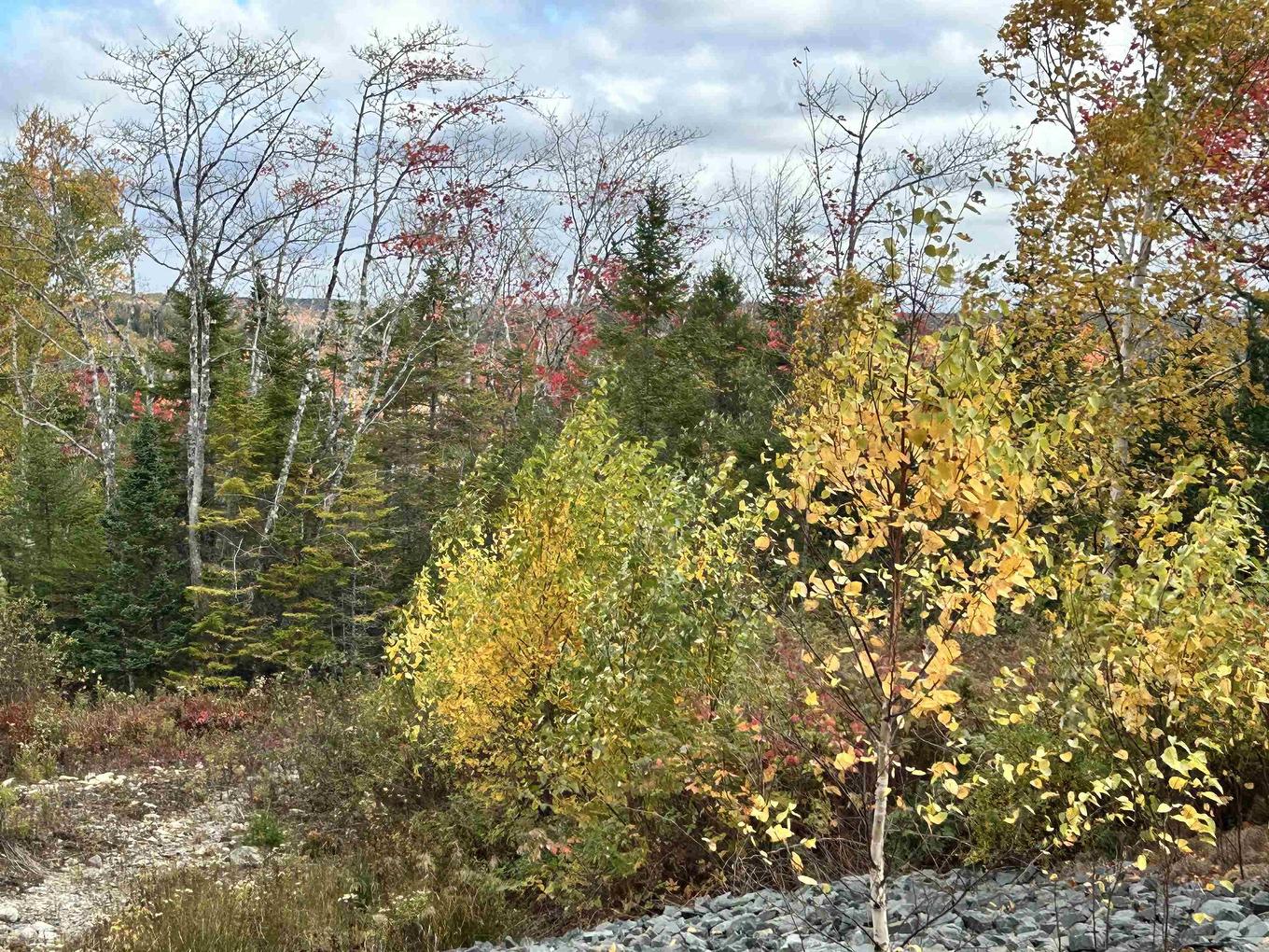 Lot 58 Riverside Drive, Goldenville, NS