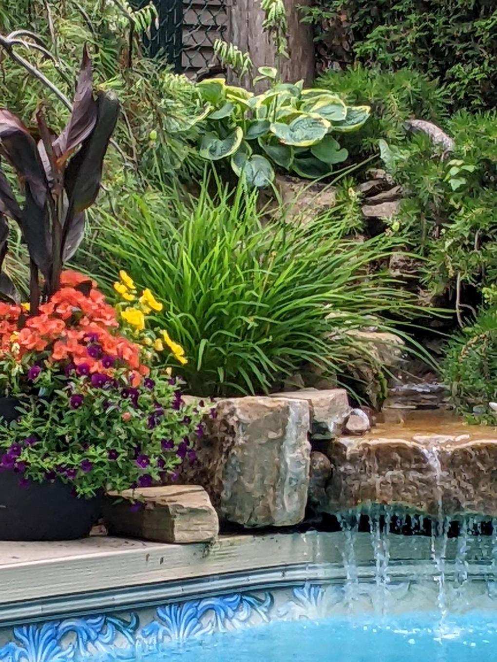 Piscine - 27 Rue Des Souverains, Blainville, QC - Outdoor With In Ground Pool