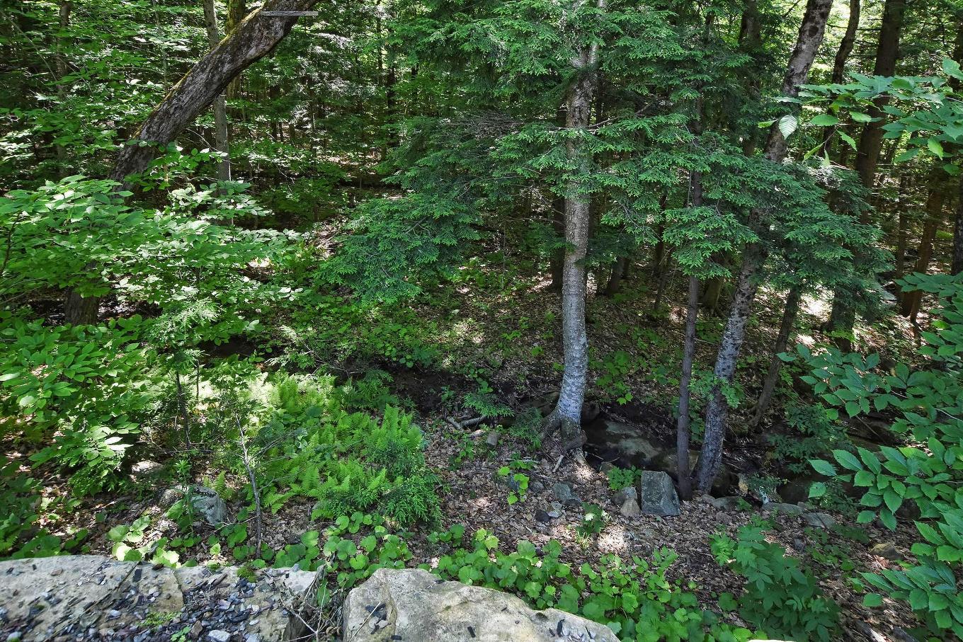 Exterior - 116 Rue Kavanagh, Saint-Colomban, QC - Outdoor