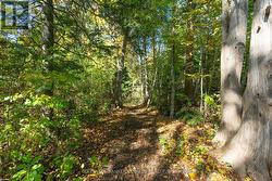 Trail at rear of property -