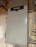 \"Generac\" automatic natural gas generator panel -