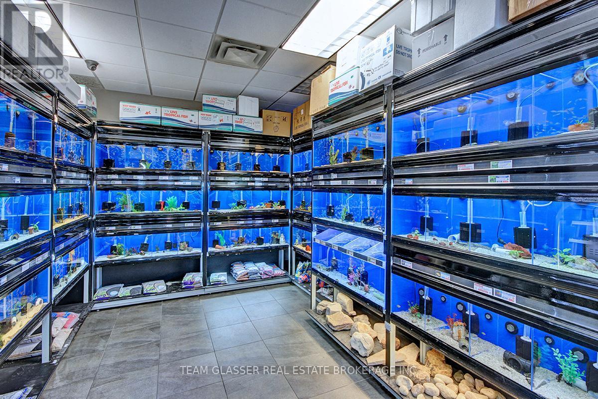 5 - 99 Belmont Drive, London South (South O), ON