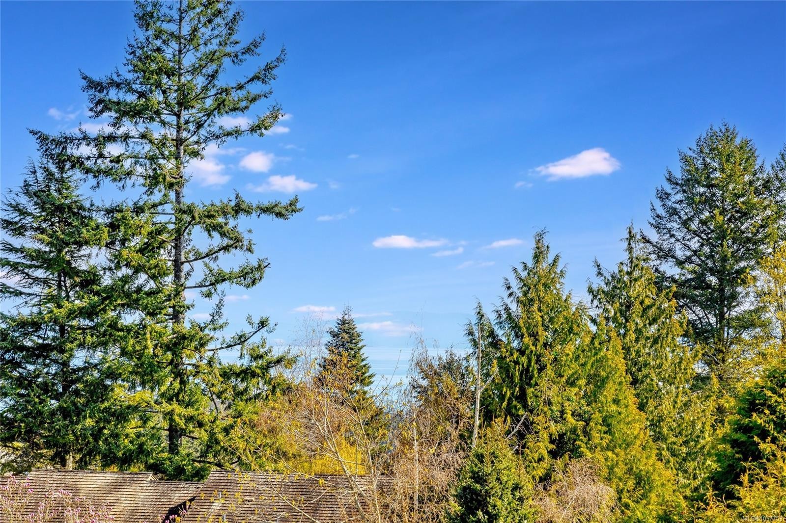 4689 Boulderwood Dr, Saanich, BC