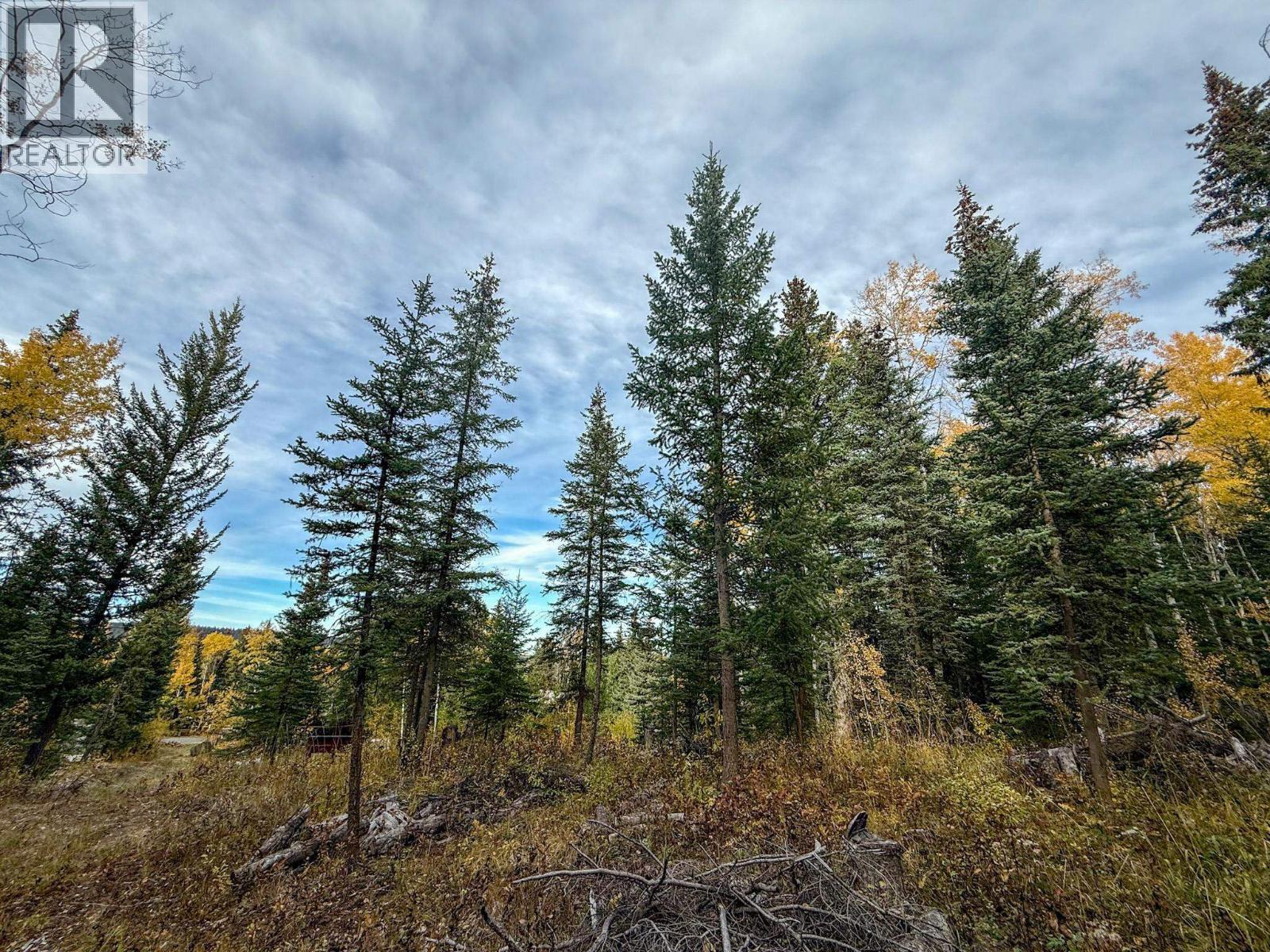 6340 Wolfe Road, Horse Lake, BC - Outdoor With View