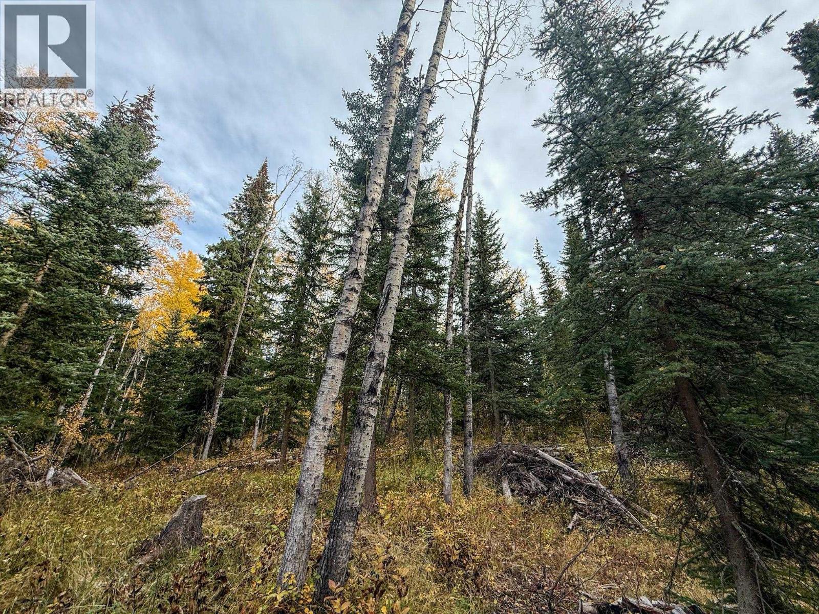 6340 Wolfe Road, Horse Lake, BC - Outdoor With View