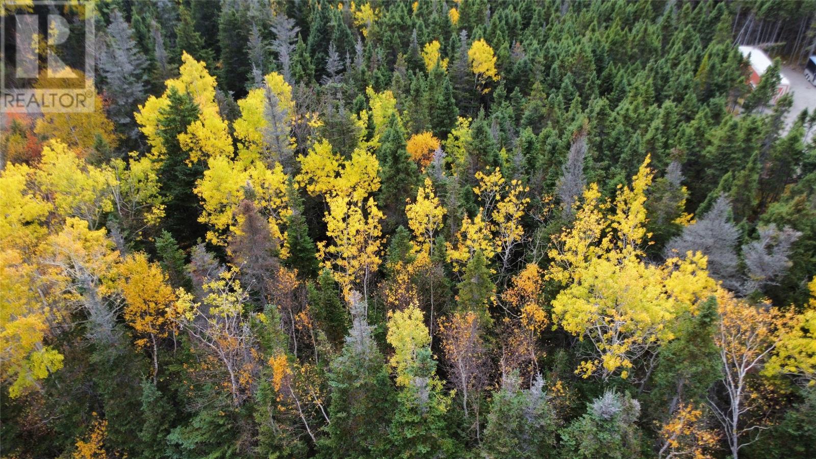 000 Fifth Road, South Brook, NL