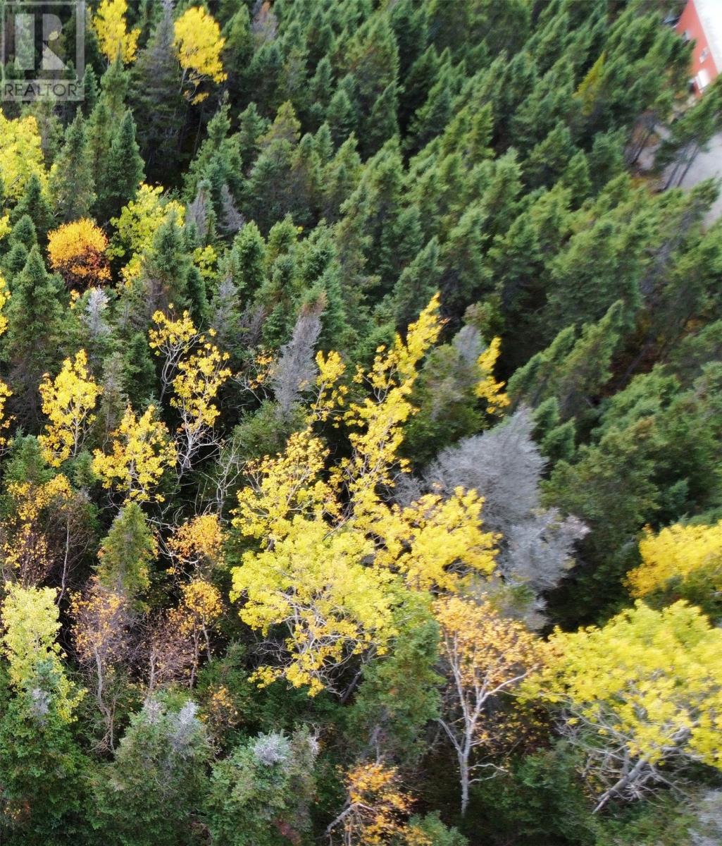 000 Fifth Road, South Brook, NL