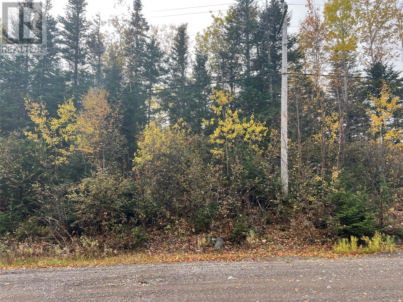 000 Fifth Road, South Brook, NL