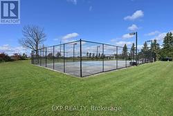 Tennis, Basketball, Hockey, You Choose -