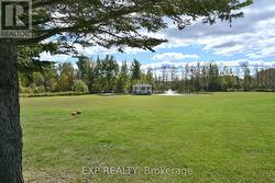 5 Flat Acres to enjoy -