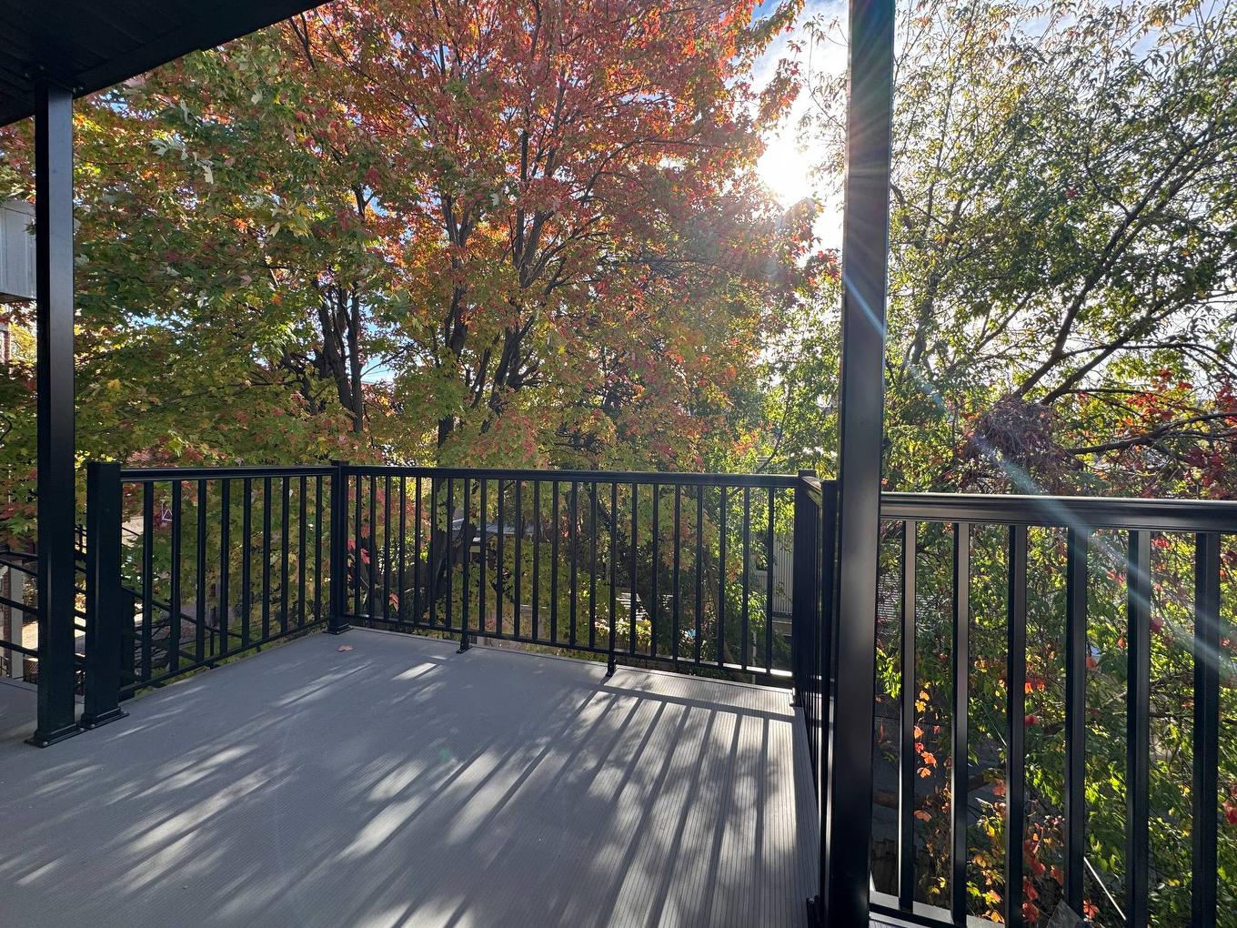 Balcony - 4526 Rue Chambord, Montréal (Le Plateau-Mont-Royal), QC - Outdoor