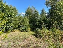 Land/Lot -
