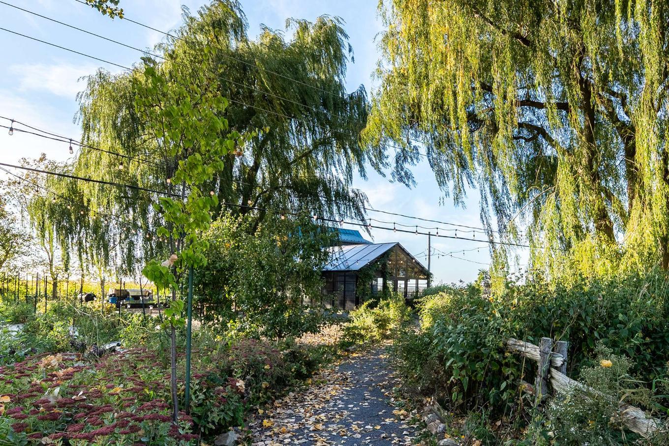 Restaurant - 980 Ch. Du Grand-Bernier, Saint-Blaise-Sur-Richelieu, QC