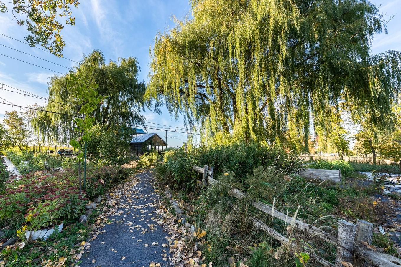 Restaurant - 980 Ch. Du Grand-Bernier, Saint-Blaise-Sur-Richelieu, QC