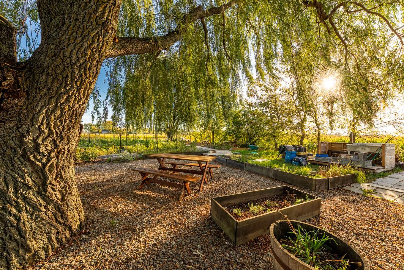 Patio - 980 Ch. Du Grand-Bernier, Saint-Blaise-Sur-Richelieu, QC