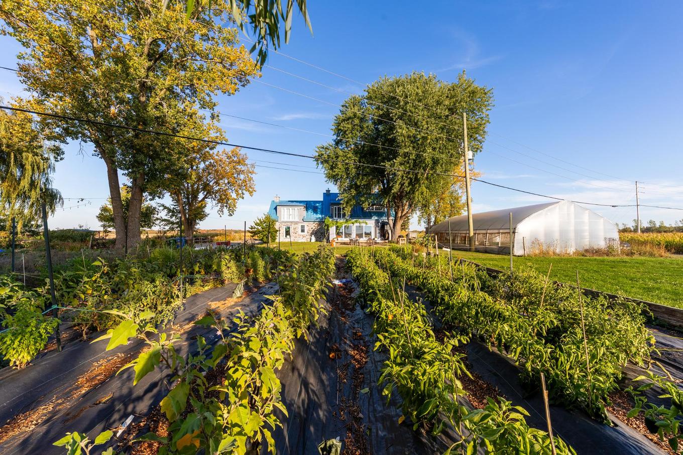 Backyard - 980 Ch. Du Grand-Bernier, Saint-Blaise-Sur-Richelieu, QC