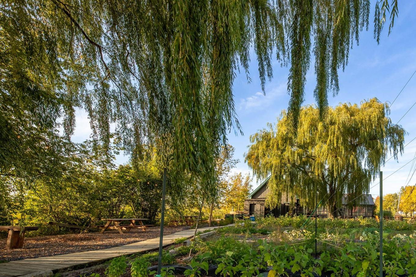 Backyard - 980 Ch. Du Grand-Bernier, Saint-Blaise-Sur-Richelieu, QC