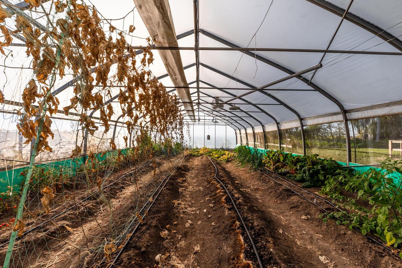 Greenhouse - 980 Ch. Du Grand-Bernier, Saint-Blaise-Sur-Richelieu, QC