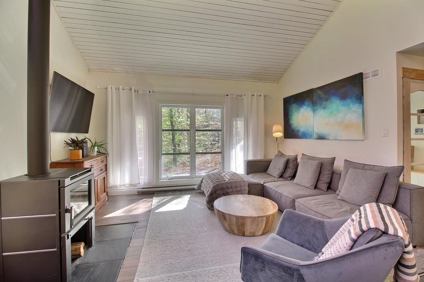 Living room - 91 Rue Meunier, Eastman, QC - Indoor Photo Showing Living Room