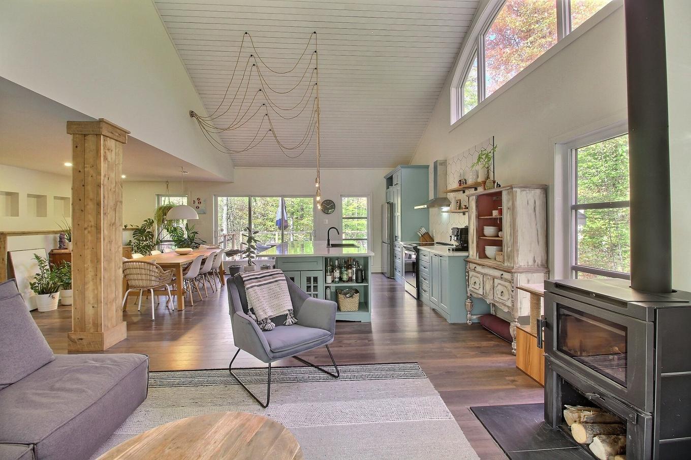 Living room - 91 Rue Meunier, Eastman, QC - Indoor Photo Showing Living Room With Fireplace