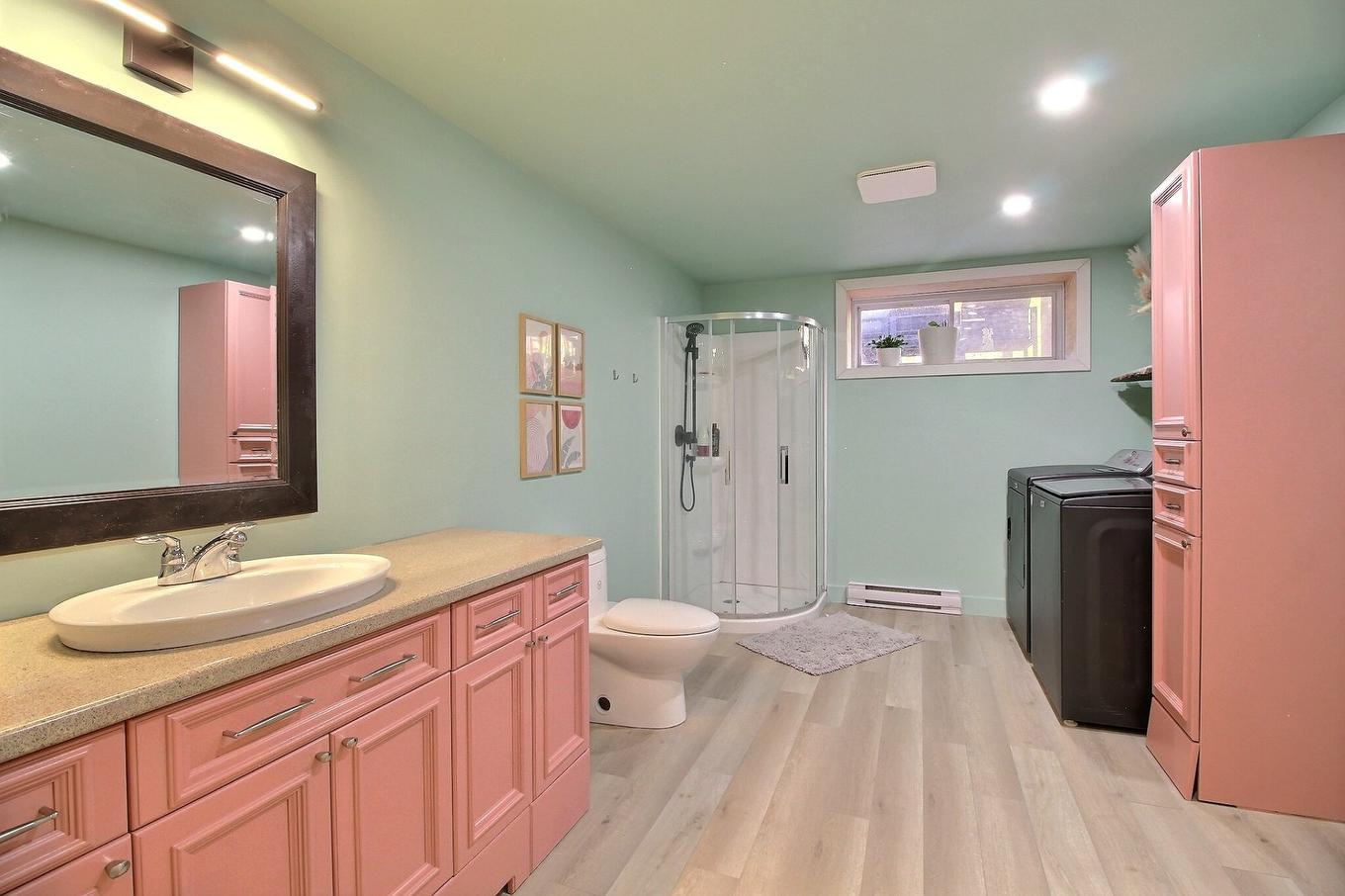 Bathroom - 91 Rue Meunier, Eastman, QC - Indoor Photo Showing Bathroom