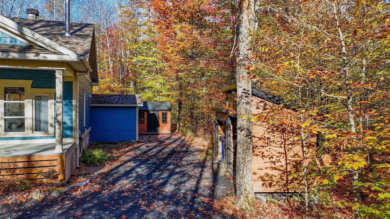 Exterior - 91 Rue Meunier, Eastman, QC - Outdoor