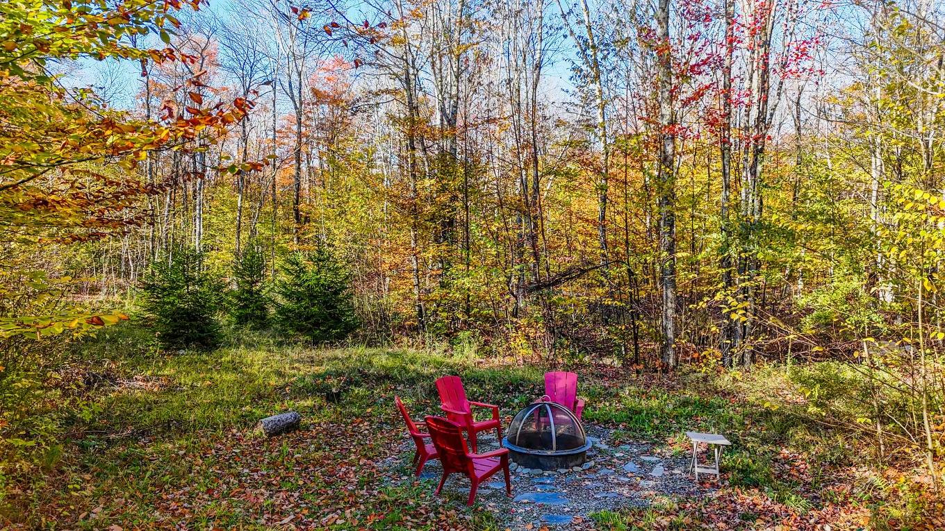 Exterior - 91 Rue Meunier, Eastman, QC - Outdoor