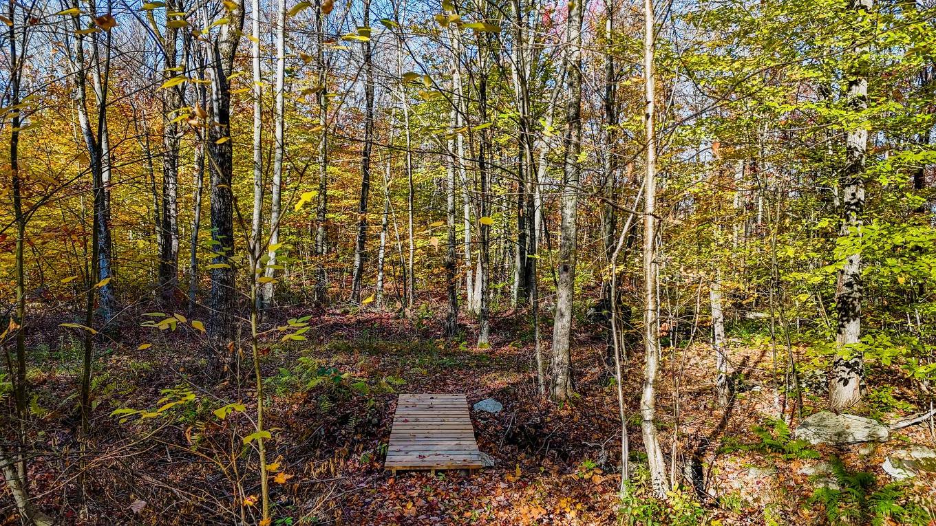 Exterior - 91 Rue Meunier, Eastman, QC - Outdoor With View