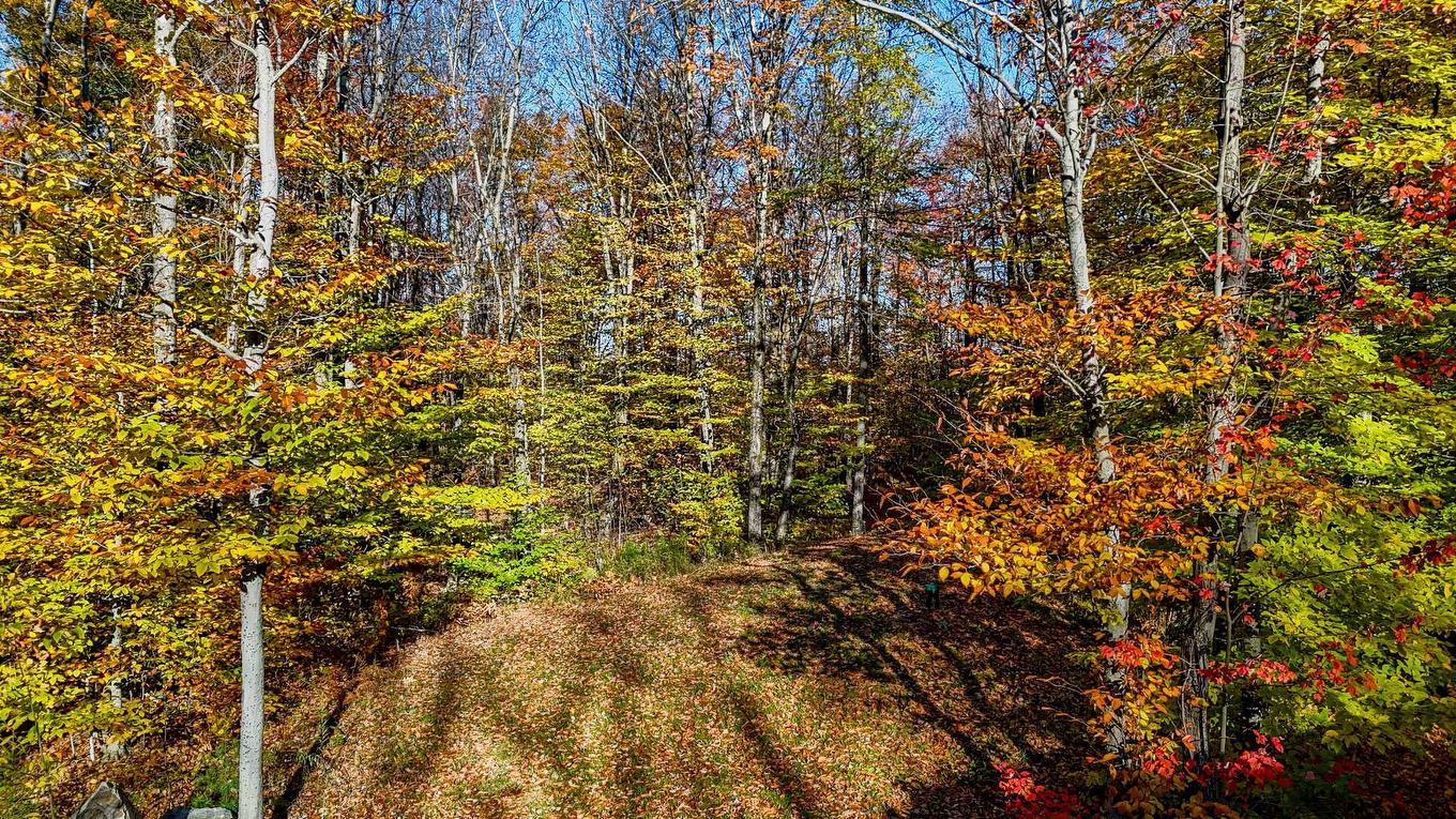 Exterior - 91 Rue Meunier, Eastman, QC - Outdoor