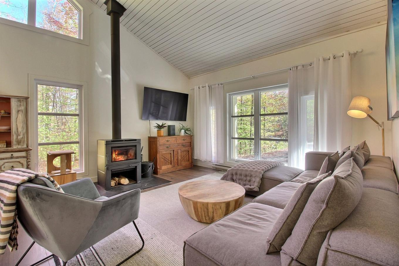 Living room - 91 Rue Meunier, Eastman, QC - Indoor Photo Showing Living Room With Fireplace