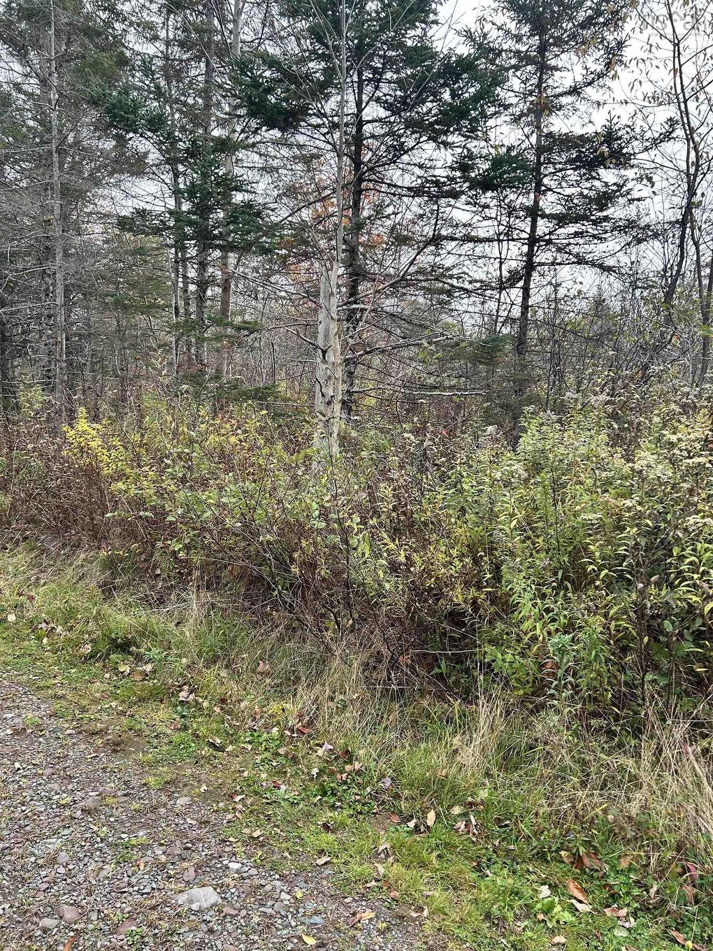 Lot 8 Guysborough Road, St Andrew'S, NS