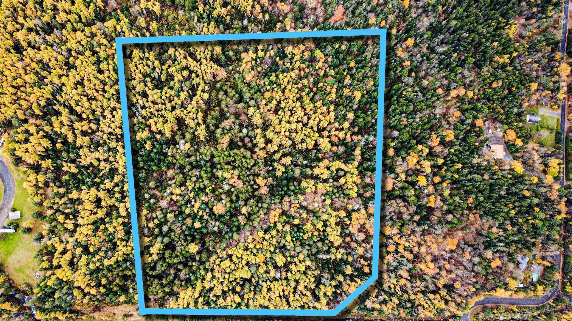 Overall view - Route 117, Mont-Blanc, QC