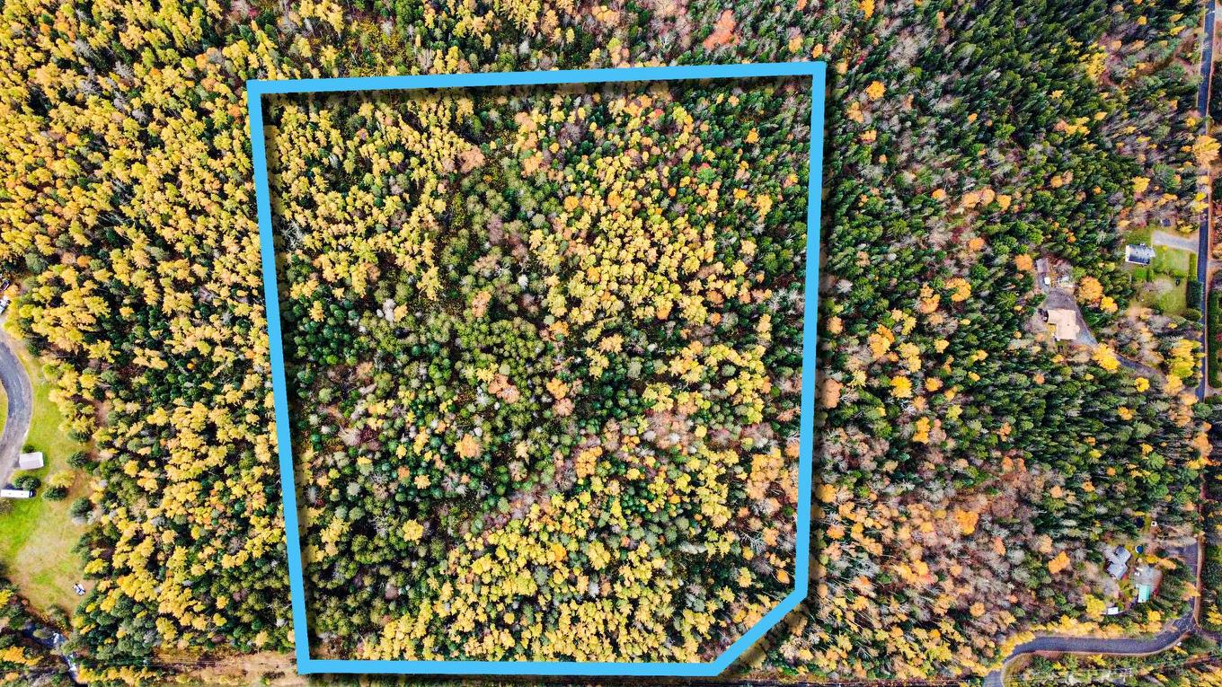 Overall view - Route 117, Mont-Blanc, QC