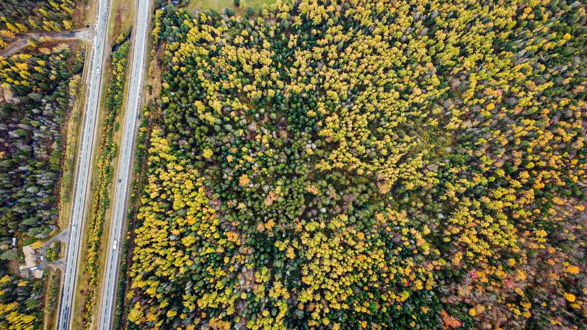 Overall view - Route 117, Mont-Blanc, QC