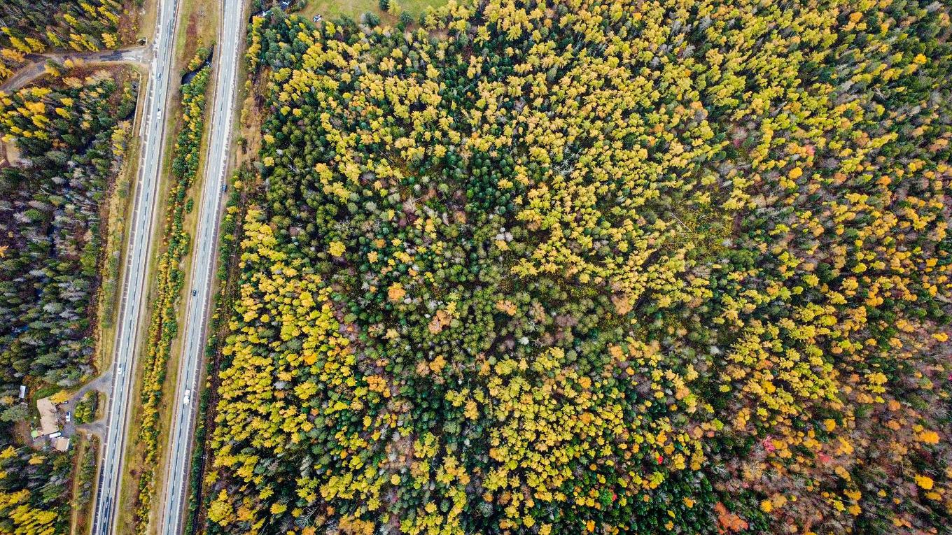 Overall view - Route 117, Mont-Blanc, QC