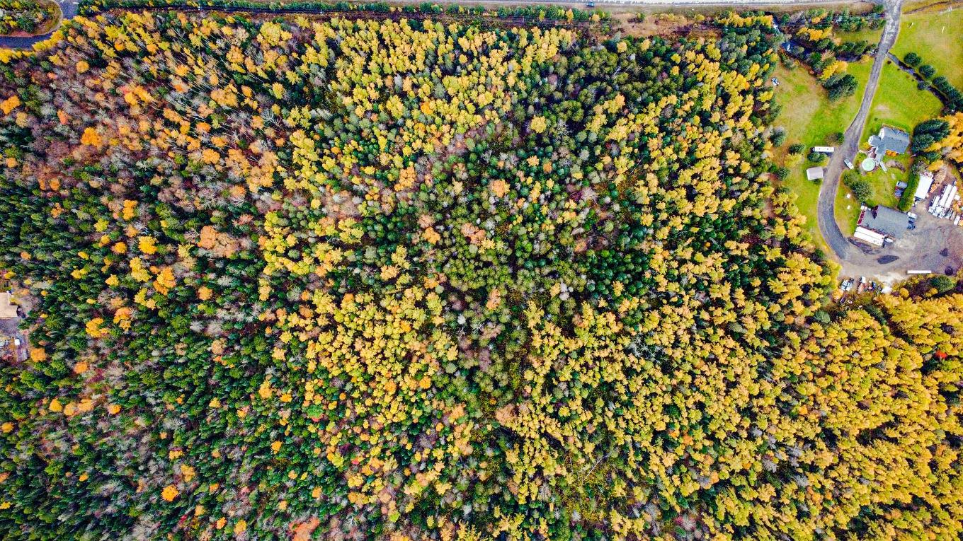 Overall view - Route 117, Mont-Blanc, QC