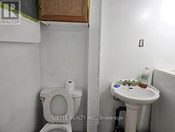 BASEMENT BATHROOM -