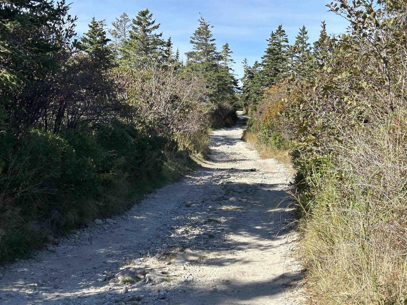 485 Centreville South Side Road, South Side, NS