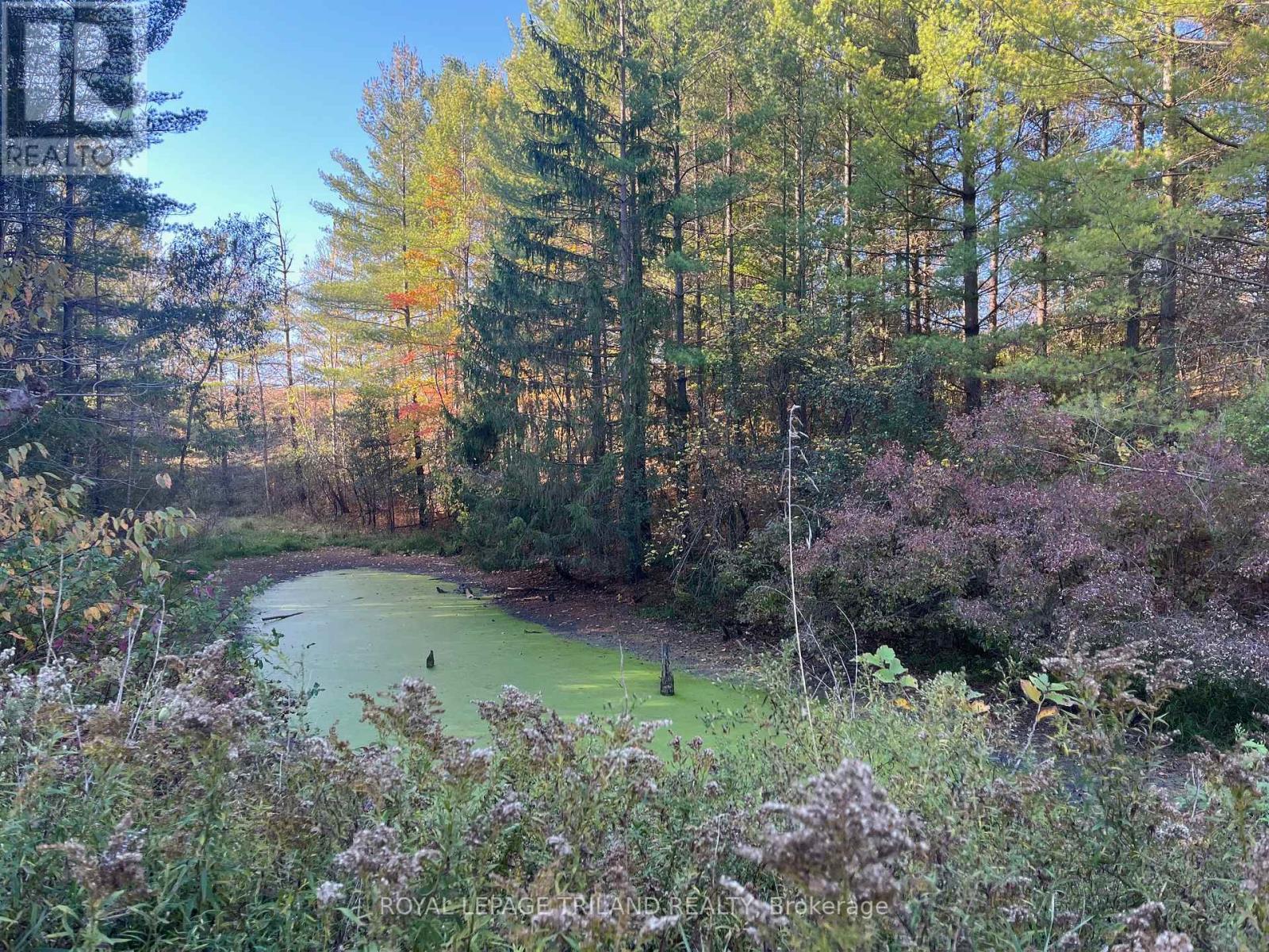 32896 Chalmers Line, Dutton/Dunwich (Iona), ON - Outdoor