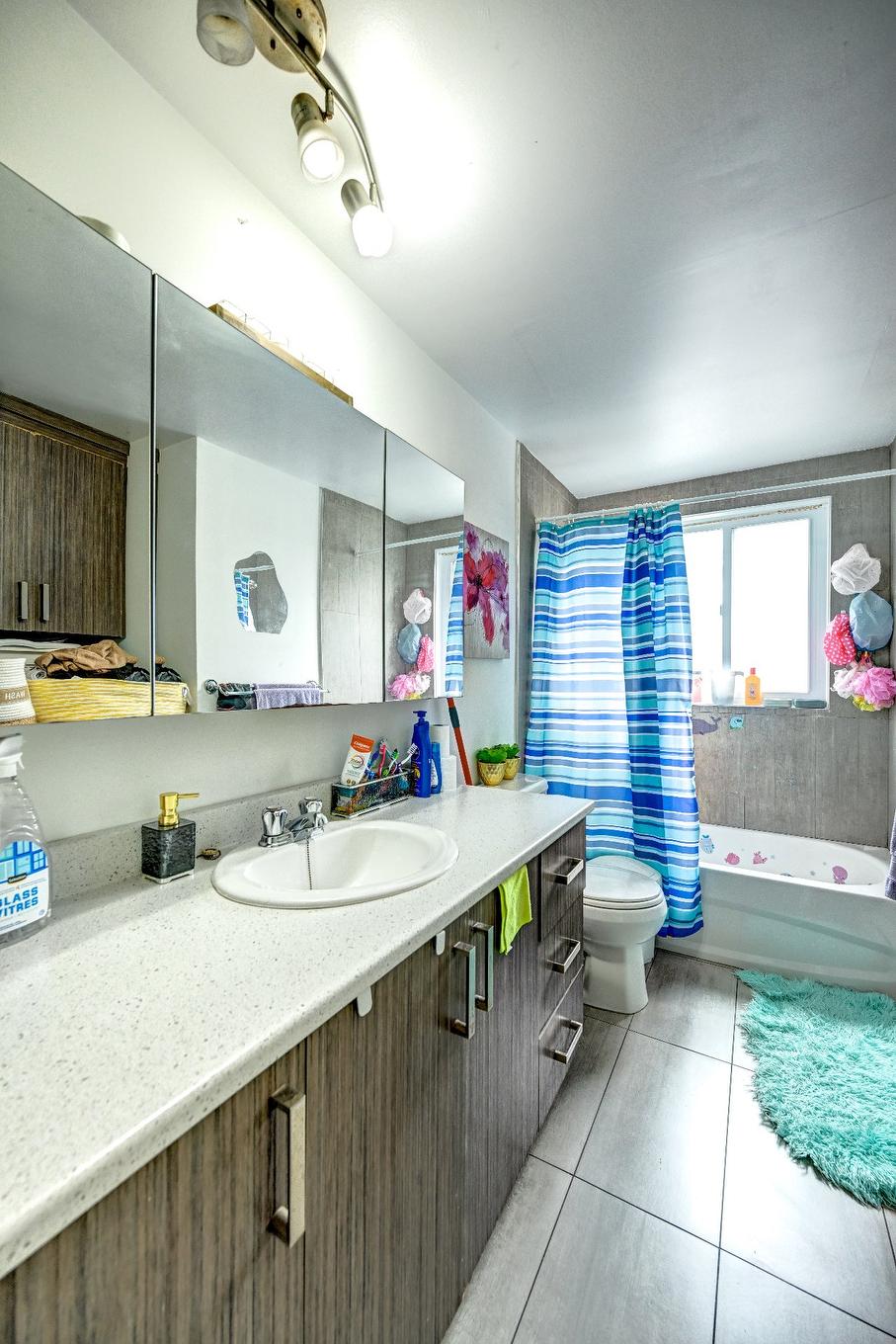 Dwelling - 845 Rue Rouleau, Saint-Hyacinthe, QC - Indoor Photo Showing Bathroom