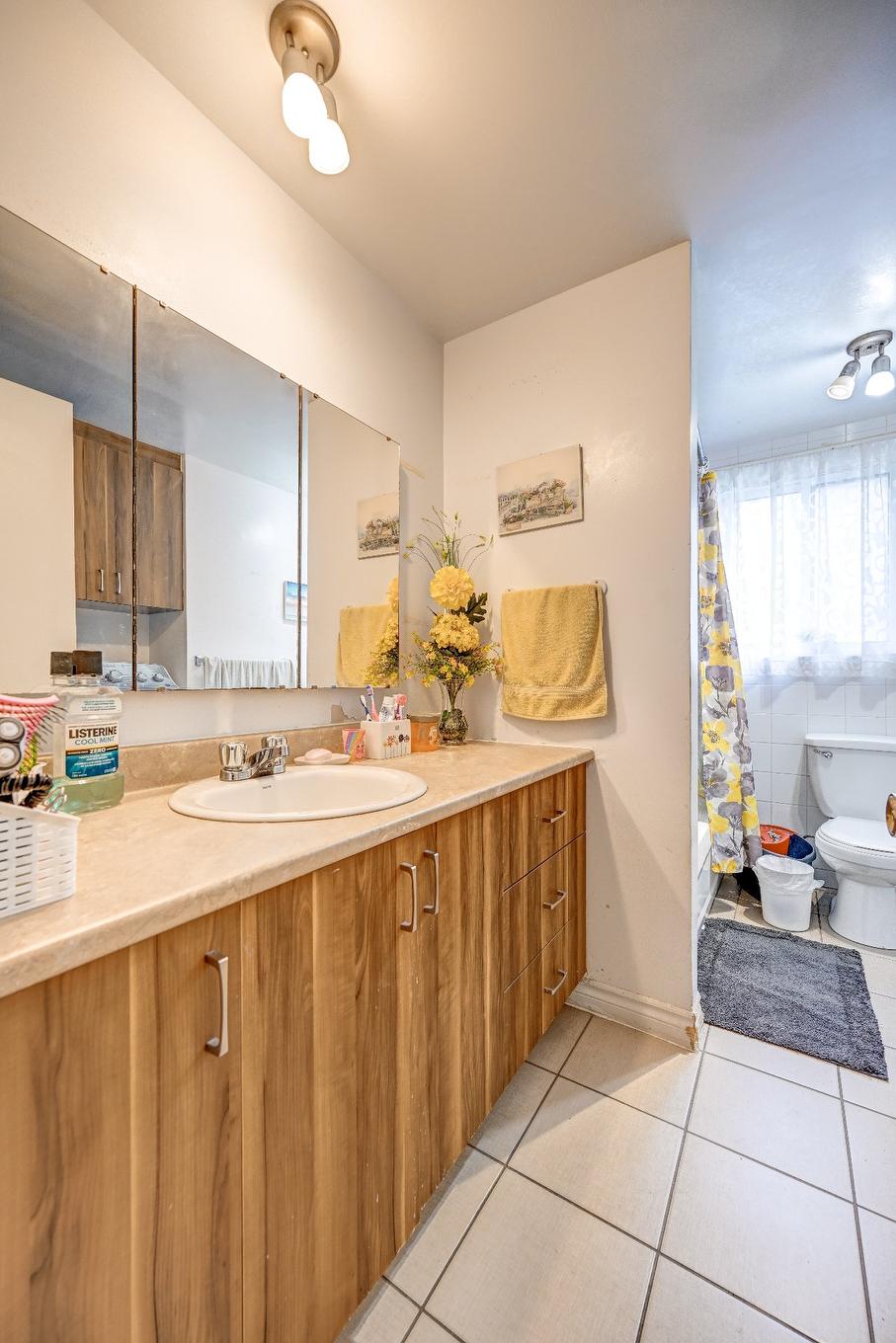 Dwelling - 845 Rue Rouleau, Saint-Hyacinthe, QC - Indoor Photo Showing Bathroom