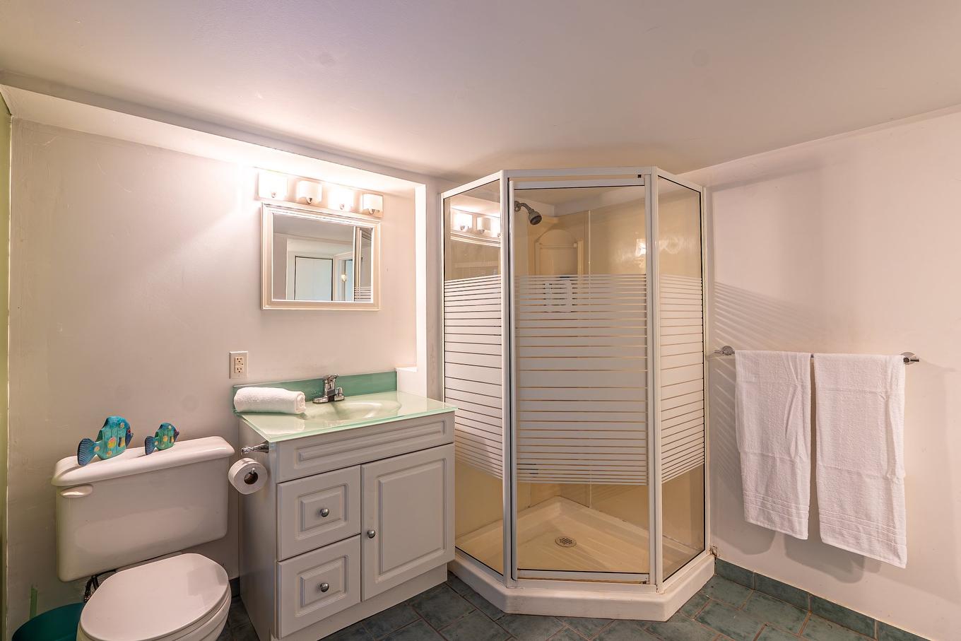 Salle de bains - 4330 Av. De Mayfair, Montréal (Côte-Des-Neiges/Notre-Dame-De-Grâce), QC - Indoor Photo Showing Bathroom