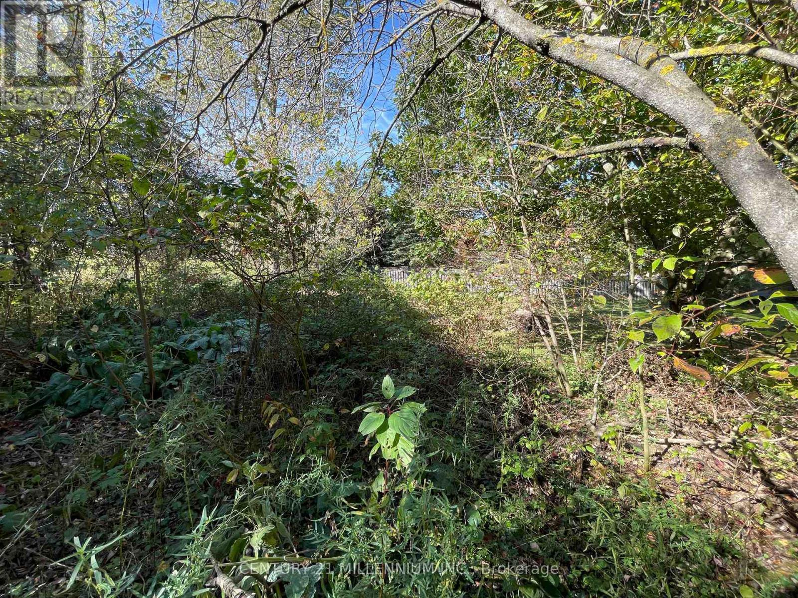 Plan 4A Blk 3 Lot 10 Mill Street, Amaranth, ON