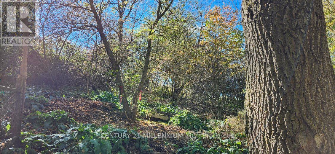 Photo of lot terrain fronting on an unassumed road - Plan 4A Blk 3 Lot 10 Mill Street, Amaranth, ON