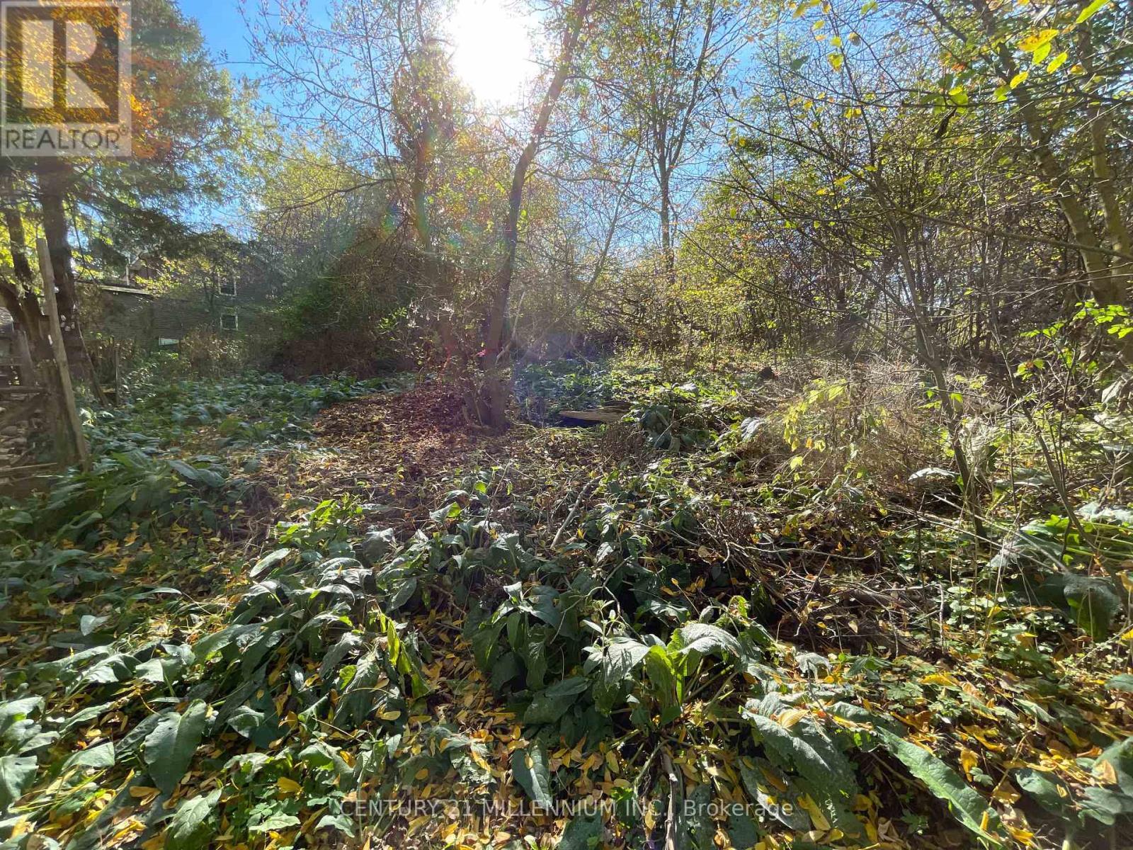 Plan 4A Blk 3 Lot 10 Mill Street, Amaranth, ON