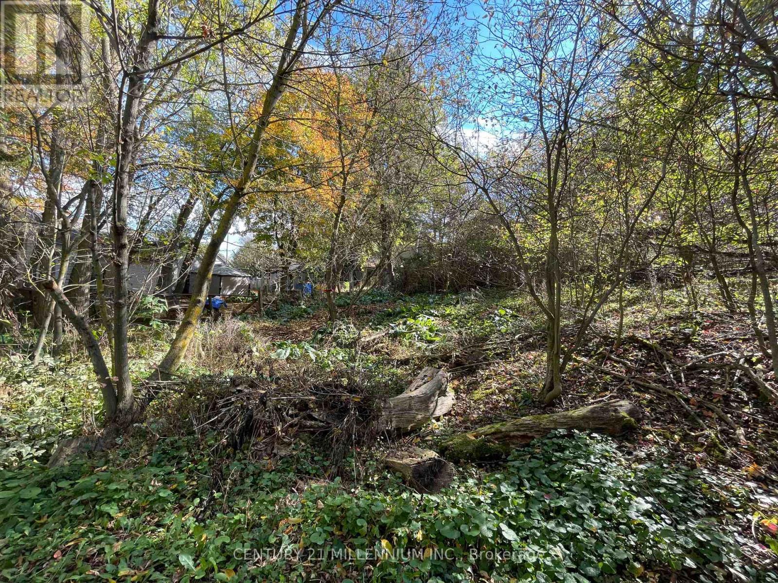 Plan 4A Blk 3 Lot 10 Mill Street, Amaranth, ON