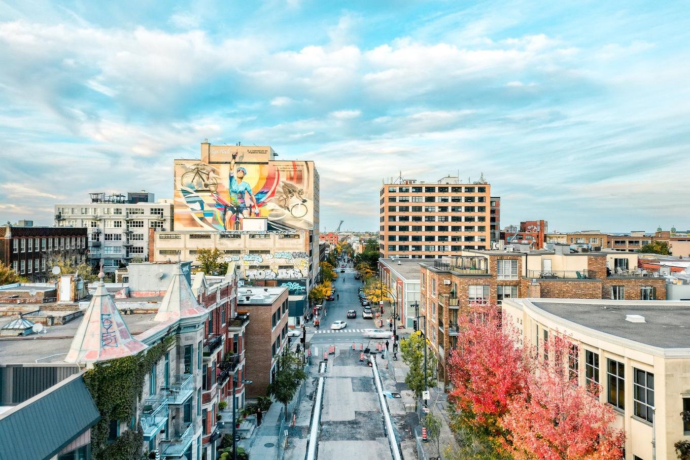 Photo aérienne - 5-4485 Av. De L'Esplanade, Montréal (Le Plateau-Mont-Royal), QC - Outdoor With View