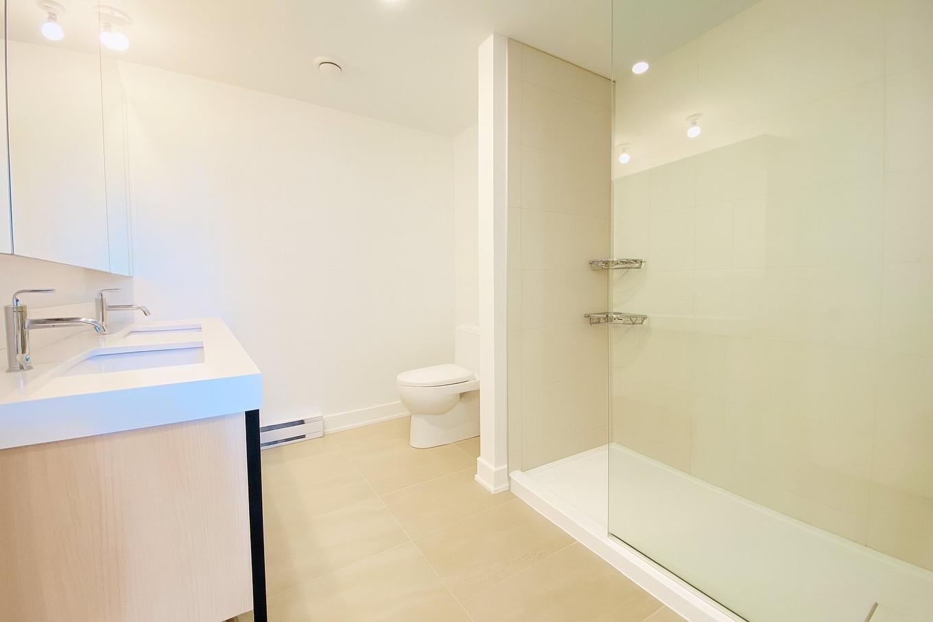 Ensuite bathroom - 1612-60 Rue De L'Éclipse, Brossard, QC - Indoor Photo Showing Bathroom